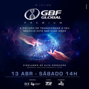 3-leilao-gbf-global-premium