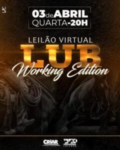 leilao-virtual-lub-working-edition