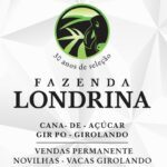 Fazenda Londrina