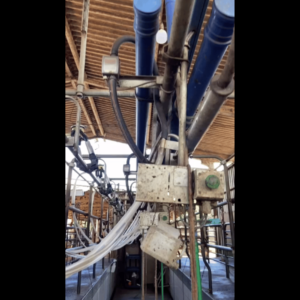 LOTE 178 - ORDENHA DELAVAL