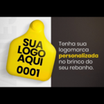 Pacote 100 Brincos Tradicionais de Manejo Personalizados (Tamanho Grande)