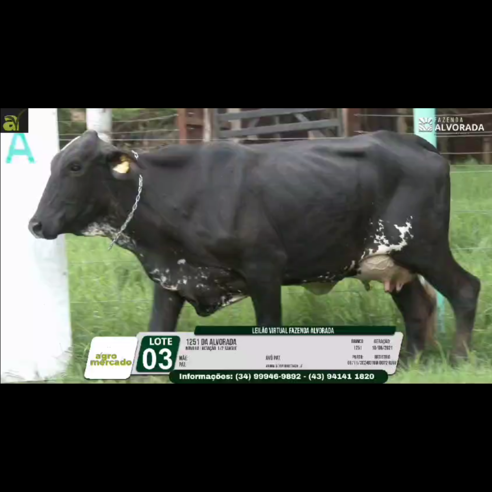 LOTE 03 1251 DA ALVORADA