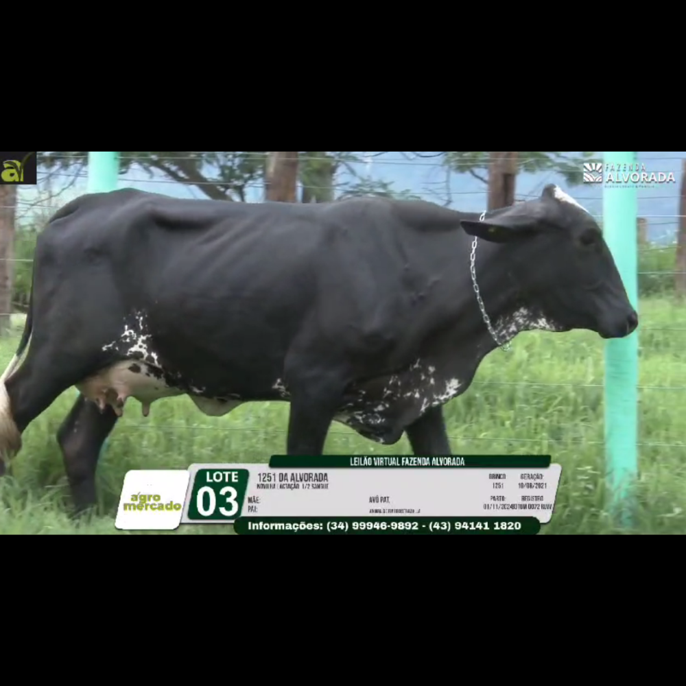 LOTE 03 1251 DA ALVORADA - Imagem 4