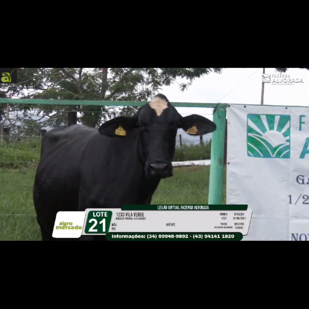 LOTE 21 1233 VILA VERDE - Imagem 2