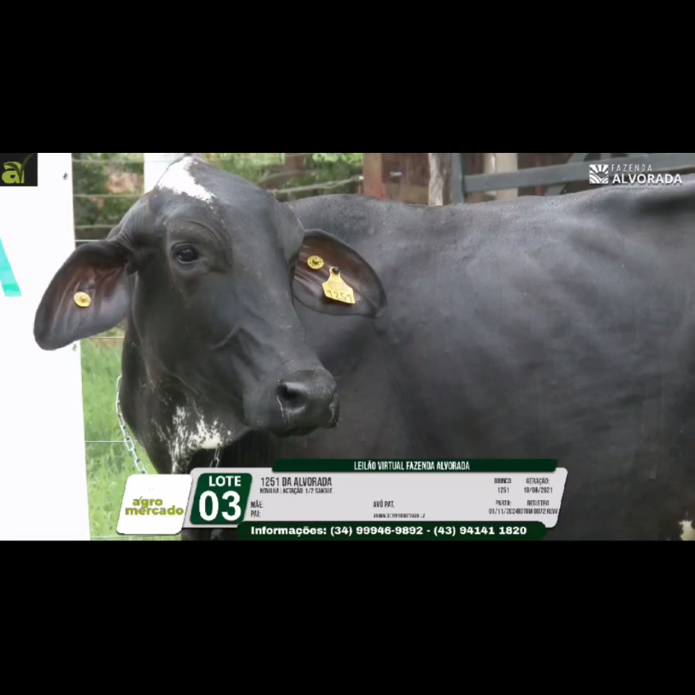 LOTE 03 1251 DA ALVORADA - Imagem 3