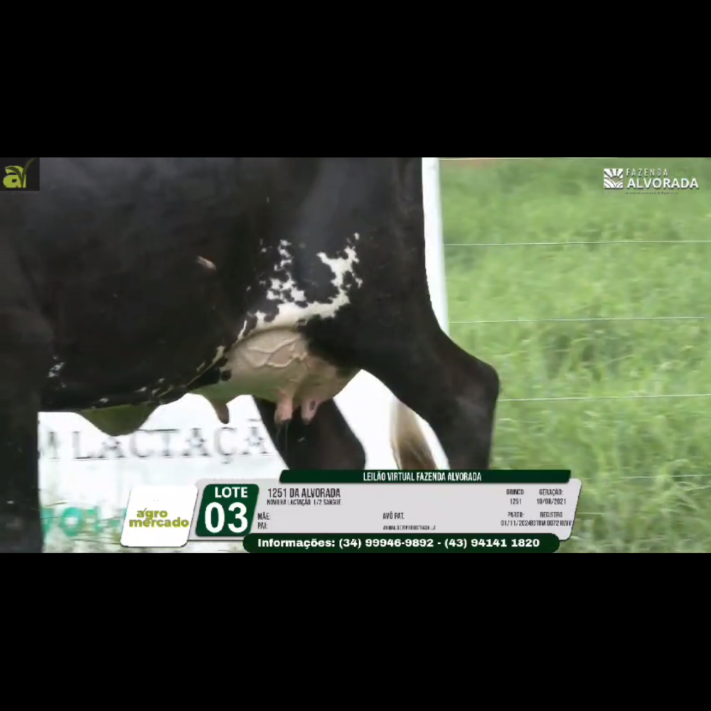 LOTE 03 1251 DA ALVORADA - Imagem 5