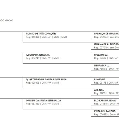 Cavalo IATE CARPE DIEM