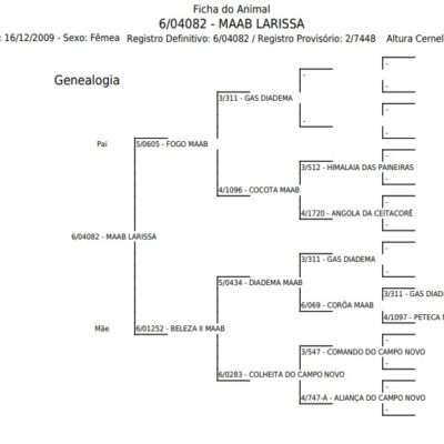 Jumenta MAAB LARISSA