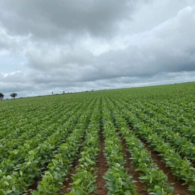 FAZENDA ENTRE CRISTALINA E PARACATU – 1470 ha