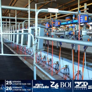 Ordenha dupla 16 postos + Contenção