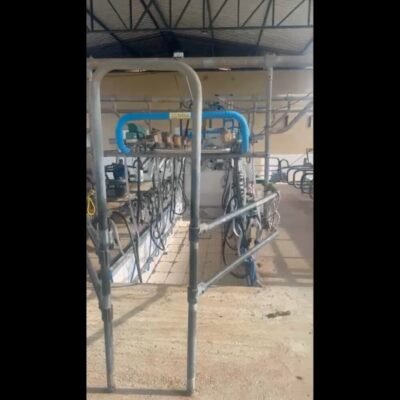 Ordenha GEA Eletrônica Duplo 6